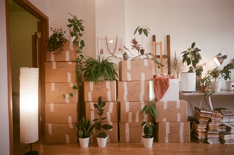 Move-out cleaning